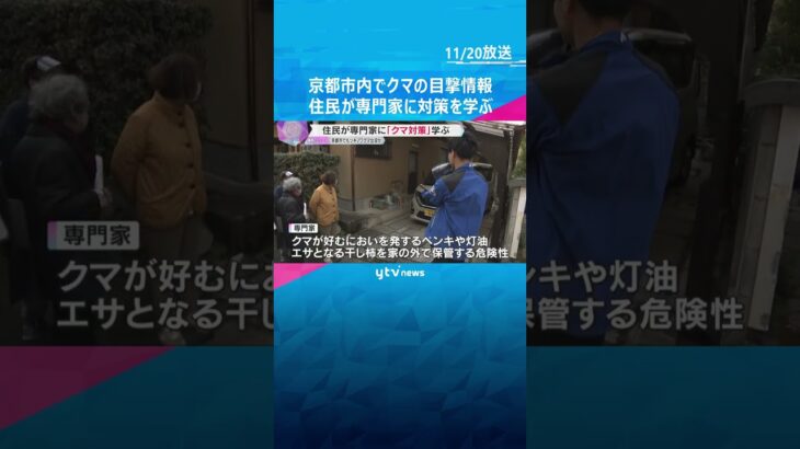 京都市内で約40件のクマ目撃情報「襲われないか怖いです」住民が専門家と山の周辺を歩いて対策を学ぶ　#shorts　#読売テレビニュース