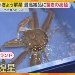 冬の味覚の王様『ズワイガニ』漁が6日解禁　最高級品に驚きの値段が!?　兵庫・浜坂漁港で初セリ