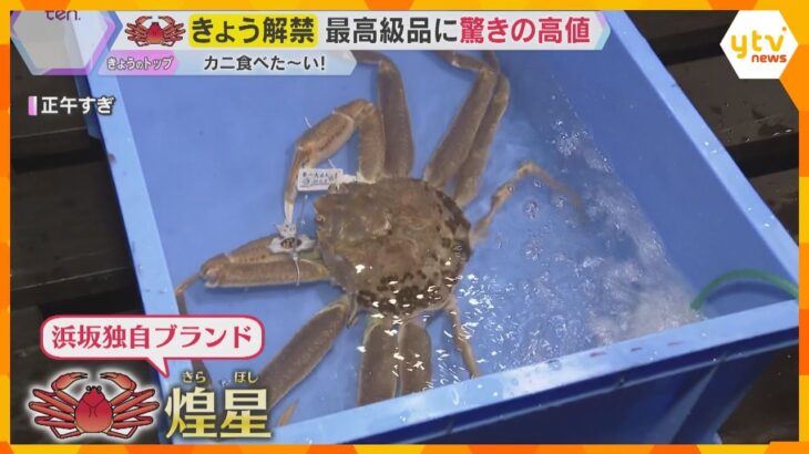 冬の味覚の王様『ズワイガニ』漁が6日解禁　最高級品に驚きの値段が!?　兵庫・浜坂漁港で初セリ
