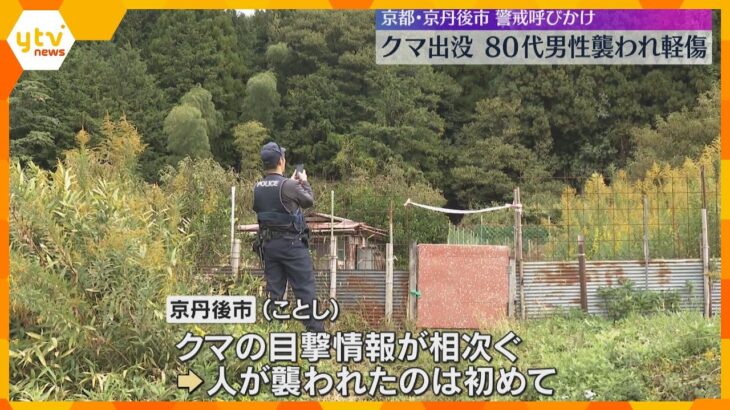 「こんなところまでクマが出るとは…」80代男性がクマに襲われ軽傷　京都・京丹後市が警戒呼びかけ