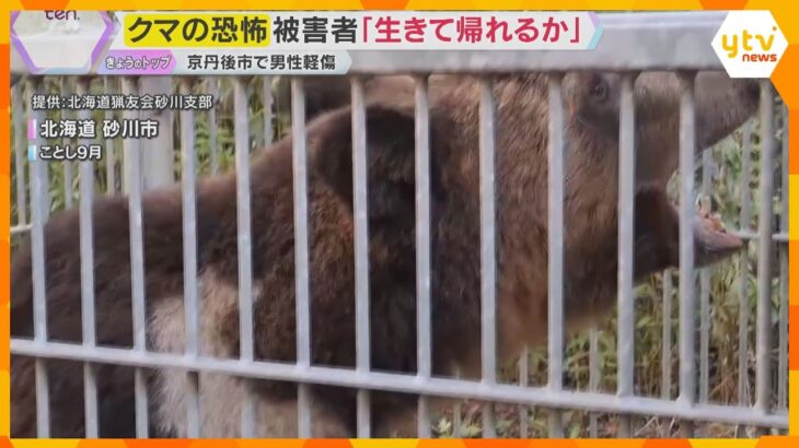 「出会ってからでは遅い」クマに襲撃された恐怖を男性語る　相次ぐクマ被害に自衛隊の災害派遣要請も
