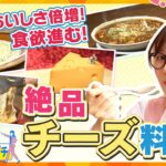 チーズ料理を知り尽くしたプロと巡る絶品チーズ料理を大特集【かんさい情報ネット ten.あっちこっちアダチ】