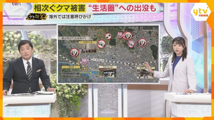 【解説】生活圏にもクマ出没…相次ぐ被害に警察によるライフル銃での駆除を検討も…立ちはだかる壁