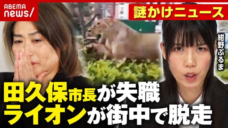 【紺野ぶるま】謎かけニュース「田久保市長が失職」「進次郎スカジャン贈呈」「中国でライオンが脱走」｜ABEMA的ニュースショー