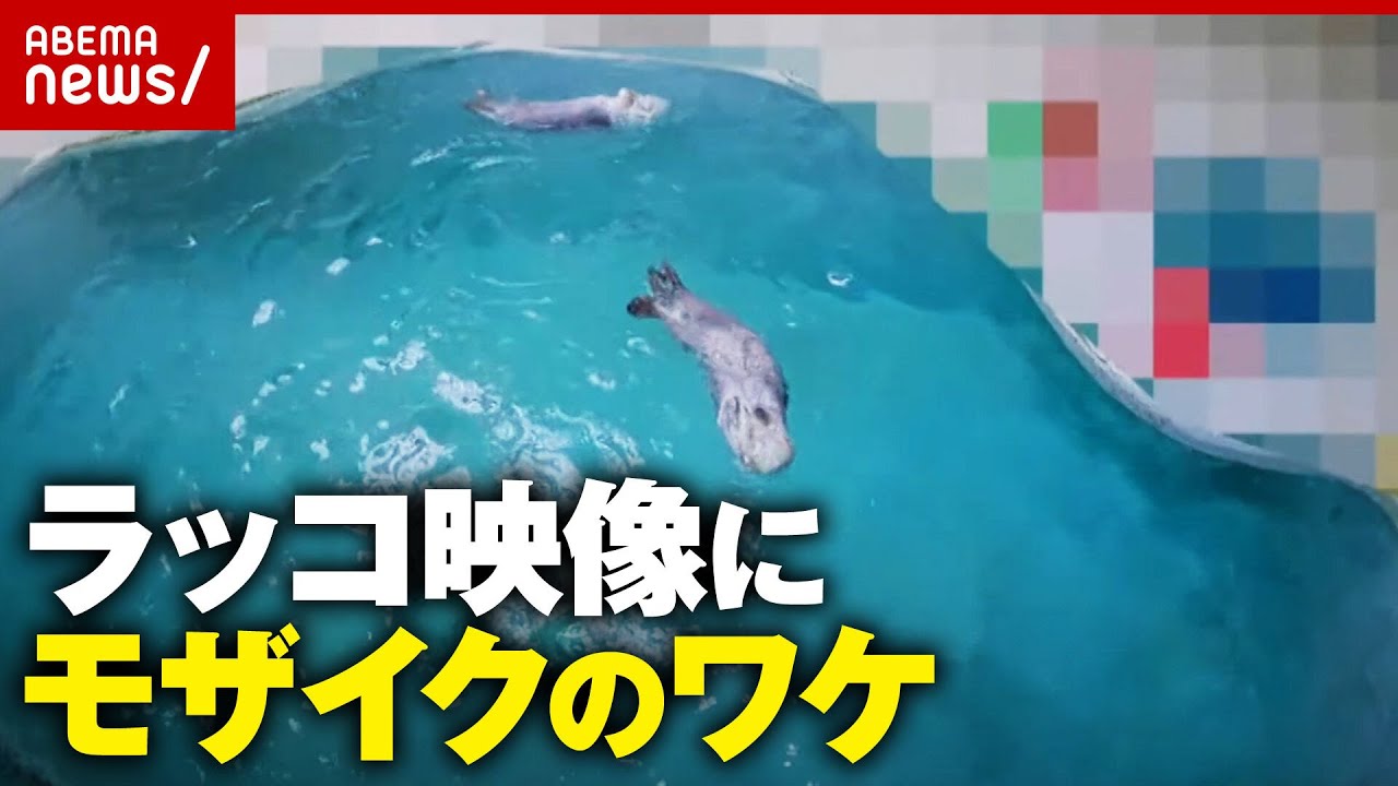 【何を隠した？】水族館のただならぬ事情…「クレーム1件で写真展中止にクレーム」「可憐な女性イメージにクレーム」｜ABEMA的ニュースショー