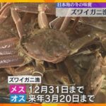 日本海の冬の味覚・ズワイガニ漁解禁　兵庫・新温泉町の漁港で水揚げ始まる　午後から初セリ開催