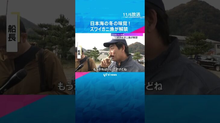 日本海の冬の味覚・ズワイガニ漁解禁　兵庫・新温泉町の漁港で水揚げ始まる　午後から初セリ開催　#shorts　#読売テレビニュース