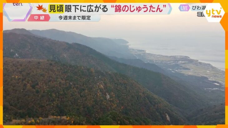 【紅葉中継】びわ湖バレイ②山頂から眺める壮大なパノラマ　空と湖と紅葉が織りなす絶景　滋賀