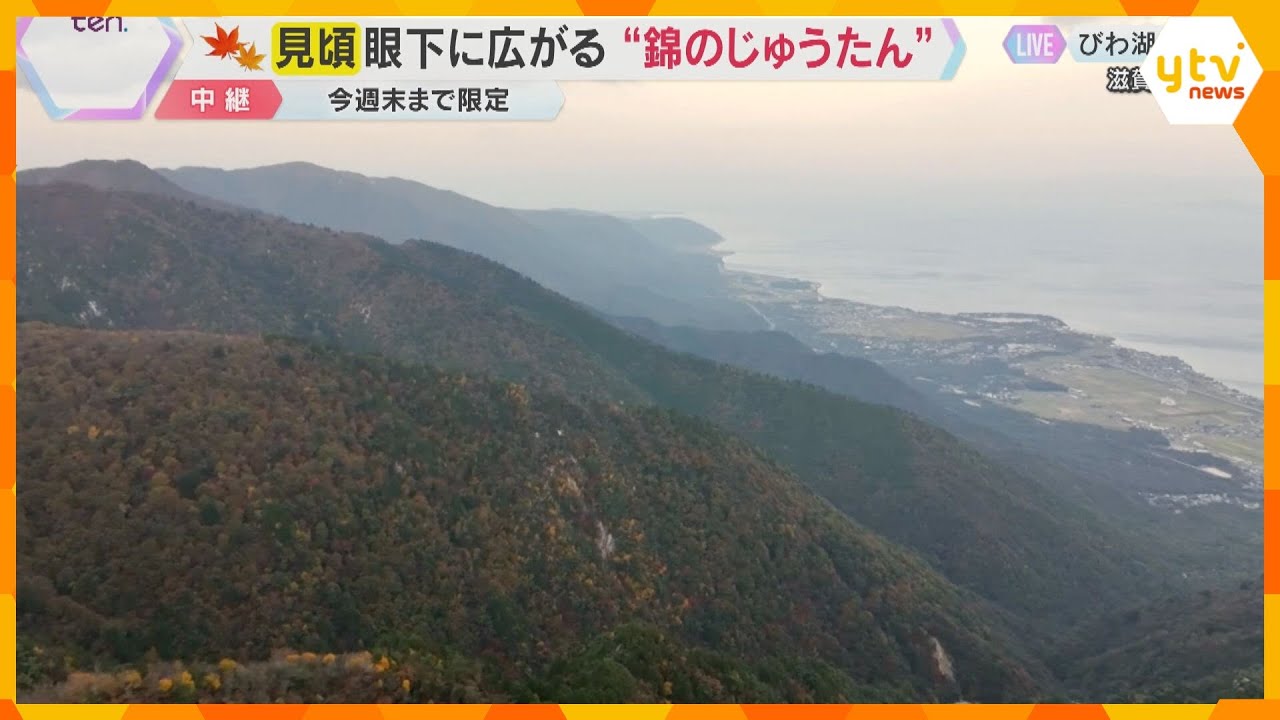 【紅葉中継】びわ湖バレイ②山頂から眺める壮大なパノラマ　空と湖と紅葉が織りなす絶景　滋賀