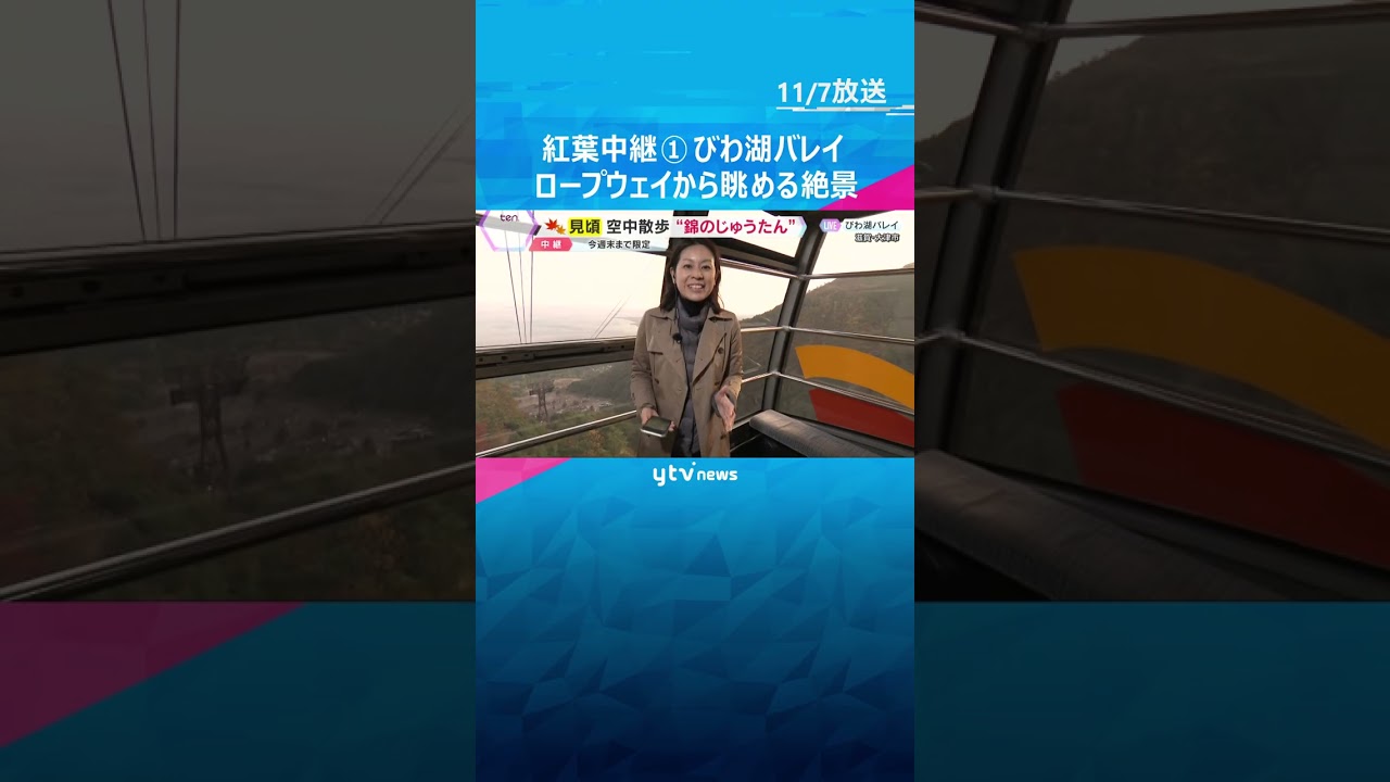 【紅葉中継】びわ湖バレイ①ロープウェイから眺める動く絶景　眼下に広がる紅葉のじゅうたん　滋賀　#shorts #読売テレビニュース