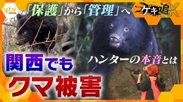 クマ被害相次ぐ…「保護」から「管理」への転換期！　犠牲者をなくすため、目指すべき「管理」のあり方とは【かんさい情報ネット ten.／ゲキ追X】