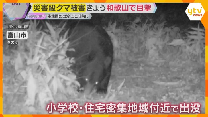 ”災害級”クマ被害各地で続く　和歌山でも目撃情報　被害防止の対策グッズ品薄も偽物スプレーに注意