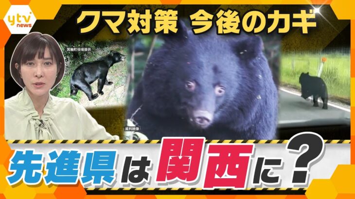 【ヨコスカ解説】もはや“災害級”クマ被害‼　先進県に学ぶ対策とは　共存共栄するために必要なコト
