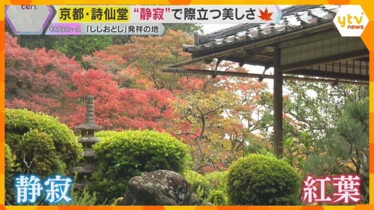 深まる秋…「今一番いい」見ごろ迎えた各地の紅葉スポット　京都では紅葉美しいお寺で万博ロス解消も⁉