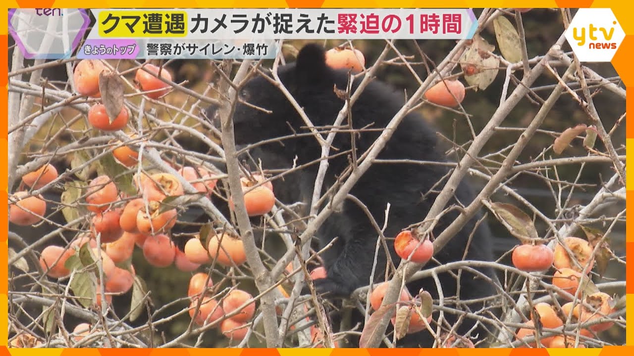 取材班がクマに遭遇　生活圏にも次々と出没…駆け付けた警察の対応は？カメラが捉えた緊迫の一部始終　