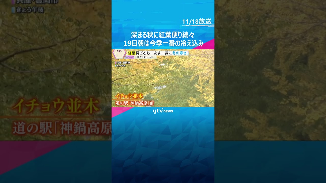 深まる秋に紅葉便り続々　豊岡駅ではラッセル車の点検作業で冬支度　19日朝は今季一番の冷え込み予想　#shorts #読売テレビニュース