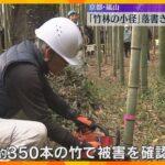 「地元として残念、悲しい」竹への落書きが急増の京都・嵐山『竹林の小径』沿道の22本を試験的に伐採