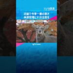 近畿各地で今季一番の冷え込み　滋賀・伊吹山では初冠雪　20日も冷え込む予想で体調管理に十分注意を　#shorts #読売テレビニュース