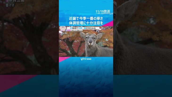 近畿各地で今季一番の冷え込み　滋賀・伊吹山では初冠雪　20日も冷え込む予想で体調管理に十分注意を　#shorts #読売テレビニュース