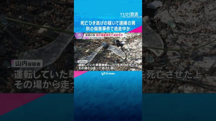 死亡ひき逃げの疑いで逮捕の男　同乗していた少年と別の傷害事件に関与し逃走中か　大阪・藤井寺市　#shorts　#読売テレビニュース