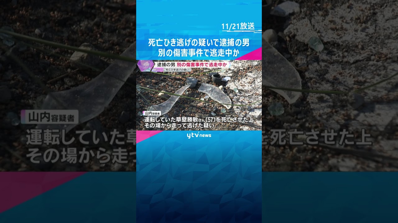 死亡ひき逃げの疑いで逮捕の男　同乗していた少年と別の傷害事件に関与し逃走中か　大阪・藤井寺市　#shorts　#読売テレビニュース