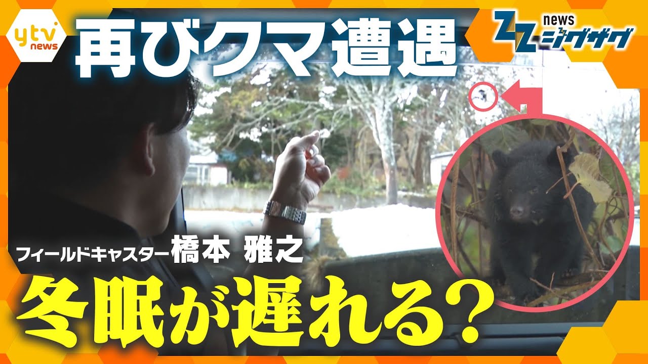 今週もジグザグカメラが捉えた！クマの目撃情報相次ぎ影響広がる【ニュース ジグザグ】