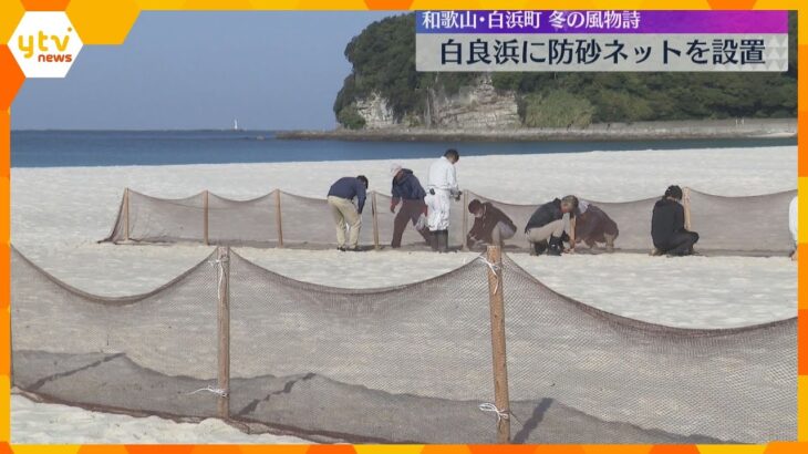 白浜に冬の訪れ「防砂ネット」設置　サラサラの砂が強風にとばされぬように　和歌山・白良浜海水浴場