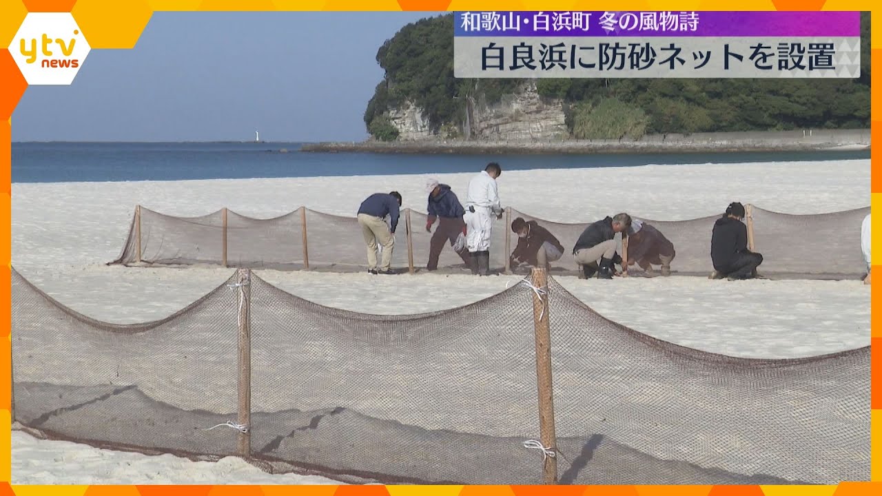 白浜に冬の訪れ「防砂ネット」設置　サラサラの砂が強風にとばされぬように　和歌山・白良浜海水浴場