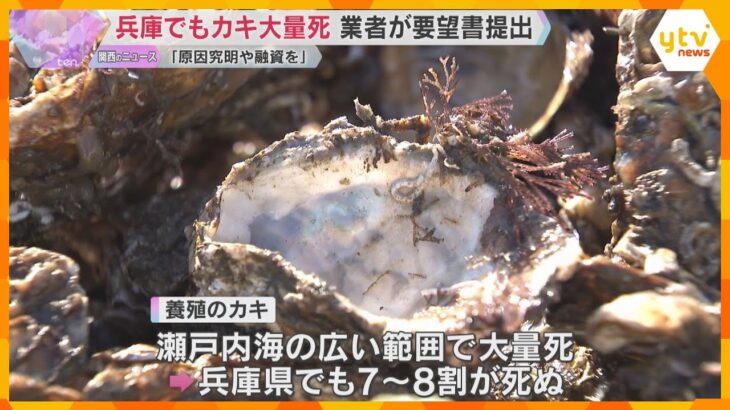 「収入減…助けて」瀬戸内海のカキ大量死　兵庫県内の養殖業者らが斎藤知事に支援を求める要望書提出　
