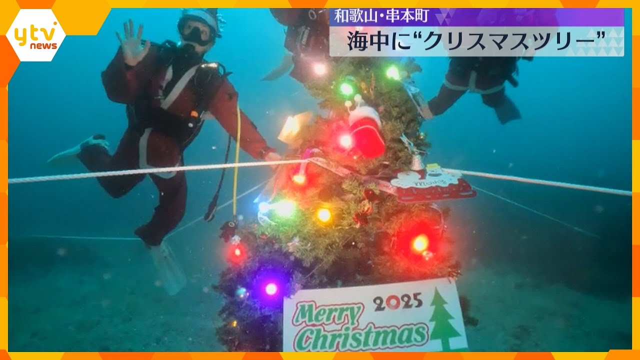 『水中クリスマスツリー』サンタ姿のダイバーが設置　国内有数のダイビングスポット　和歌山・串本町
