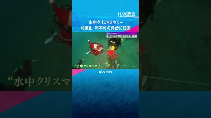 『水中クリスマスツリー』サンタ姿のダイバーが設置　国内有数のダイビングスポット　和歌山・串本町　#shorts　#読売テレビニュース