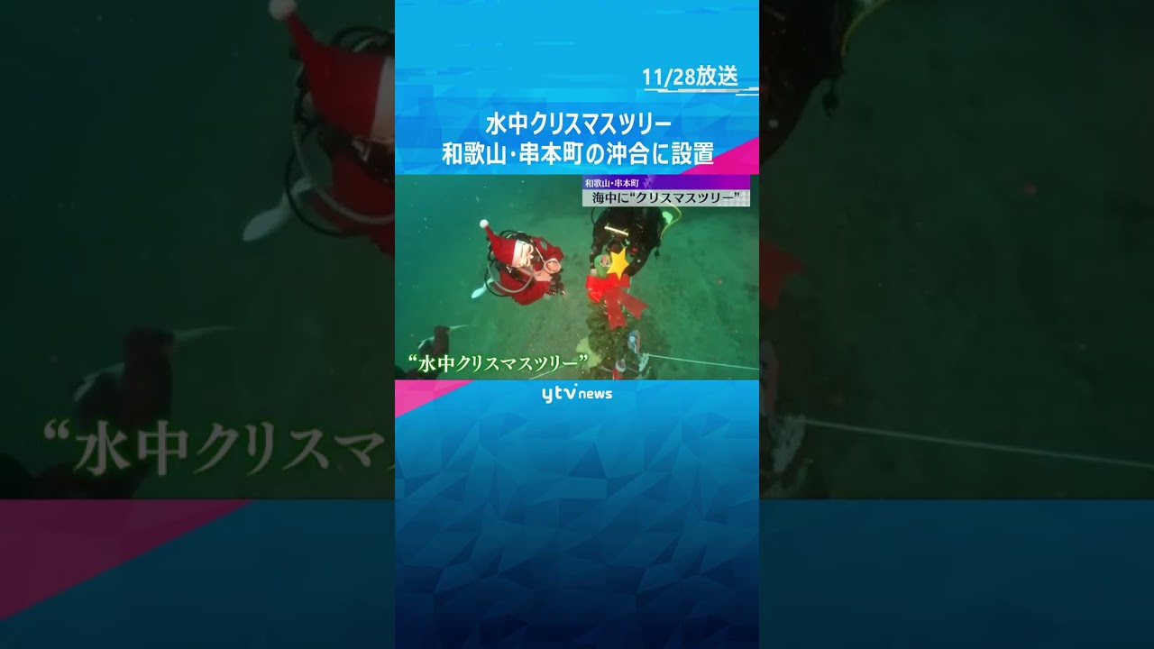 『水中クリスマスツリー』サンタ姿のダイバーが設置　国内有数のダイビングスポット　和歌山・串本町　#shorts　#読売テレビニュース