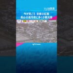 【空から中継】京都の紅葉はいまが見ごろ「くっきりと赤く色づく」嵐山の渡月橋には多くの観光客　#shorts　#読売テレビニュース