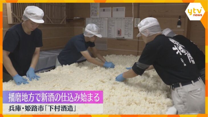 播磨地方で新酒の仕込み始まる　酒米を蒸し上げ、麹菌をまぶし　創業140年の作り酒屋　兵庫・姫路市