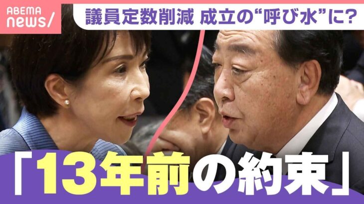 【政治ジェンダー】“議員定数削減”で女性議員が減る？「多数決で1位の人の意見だけ聞くのか…」能條桃子氏と考える民主主義｜わたしとニュース