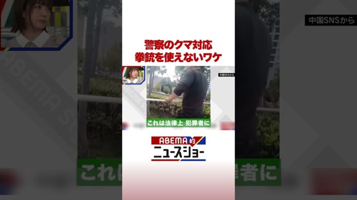 警察のクマ対応 拳銃を使えないワケ #ABEMA的ニュースショー #Shorts