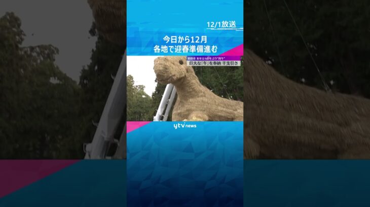 今日から12月…各地で迎春準備　熊野本宮大社で『大しめ縄』奉納　2026年は60年ぶりの『丙午』 #shorts　#読売テレビニュース