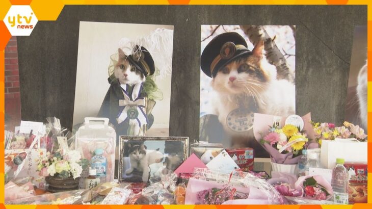 和歌山電鉄・貴志駅の2代目駅長「ニタマ」をしのんで社葬　約500人の参列者が別れを惜しむ