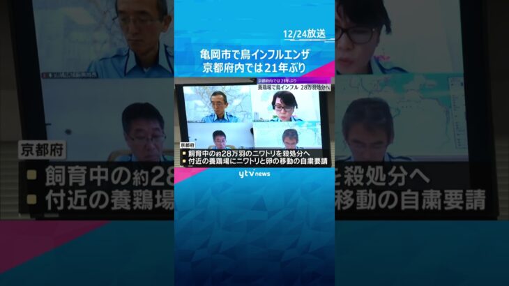 京都府内で21年ぶりの鳥インフルエンザ　亀岡市の養鶏場　約28万羽のニワトリは殺処分へ　#shorts　#読売テレビニュース