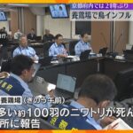 京都府内で21年ぶりの鳥インフルエンザ　亀岡市の養鶏場　約28万羽のニワトリは殺処分へ