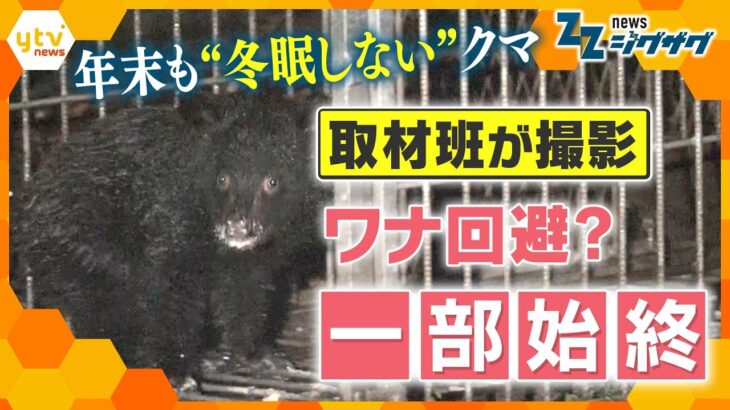 【クマが学習？】4日連続出没で箱わなを設置、捕獲は…一部始終をカメラが捉えた【ニュース ジグザグ】