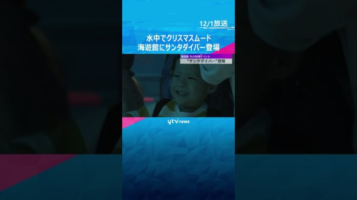 「かっこいい！」ジンベイザメと一緒に泳ぐサンタクロース　海遊館のクリスマスイベント #shorts　#読売テレビニュース