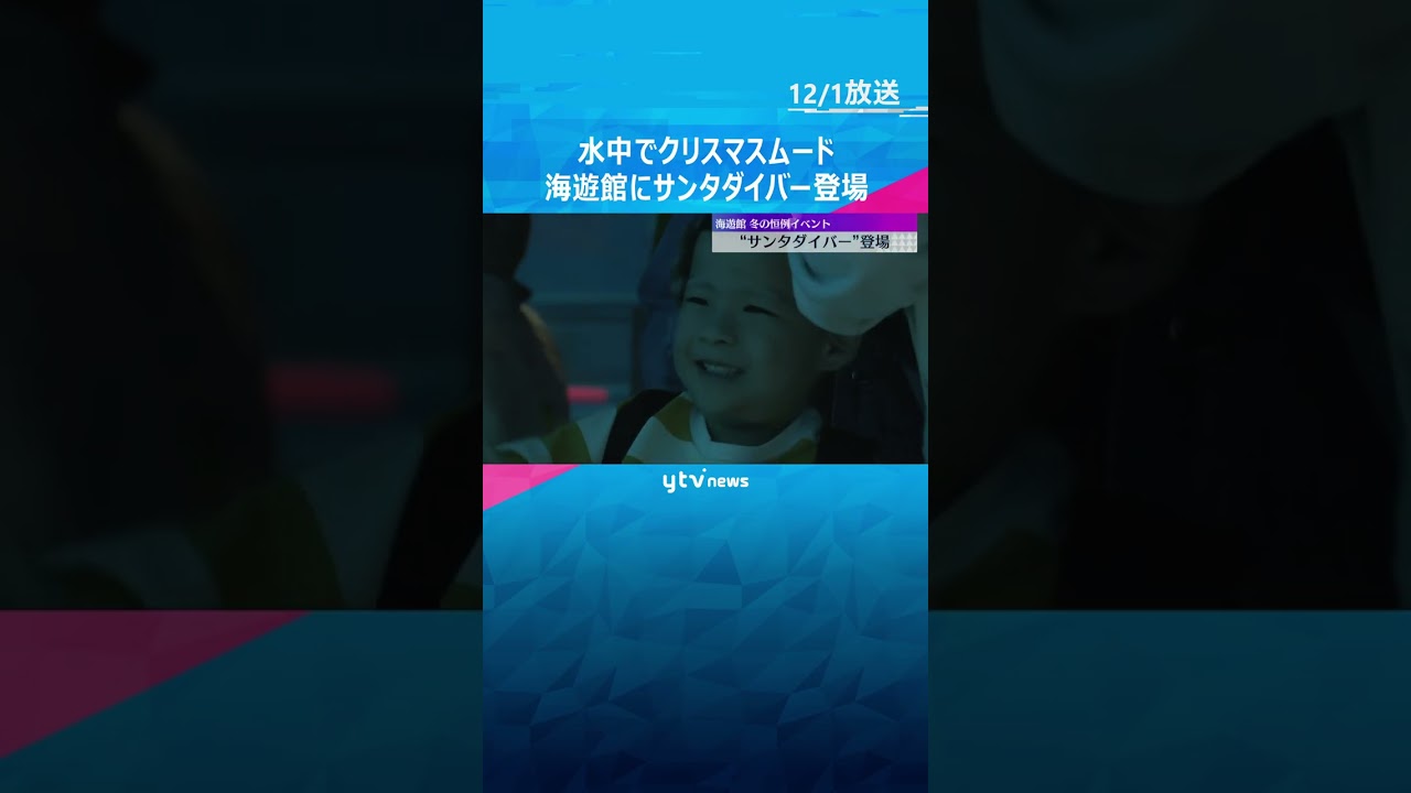 「かっこいい！」ジンベイザメと一緒に泳ぐサンタクロース　海遊館のクリスマスイベント #shorts　#読売テレビニュース