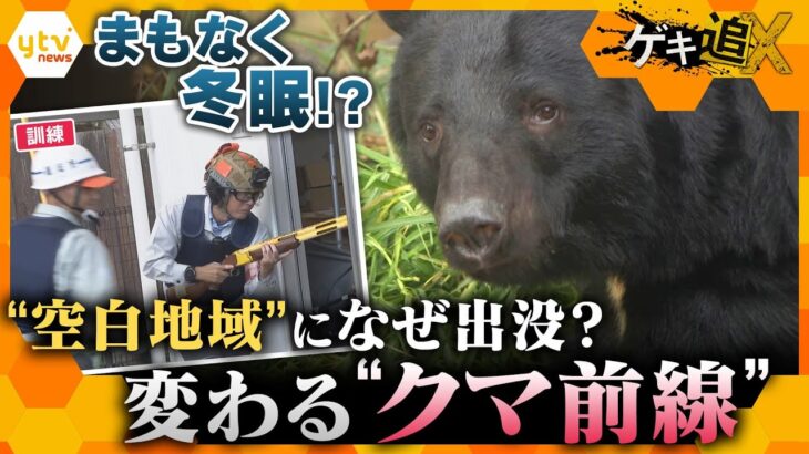 変わる“クマ前線”　関西で“空白地域”にクマ出没なぜ？冬眠の季節は？人とクマとの距離のとり方とは【かんさい情報ネット ten.／ゲキ追X】