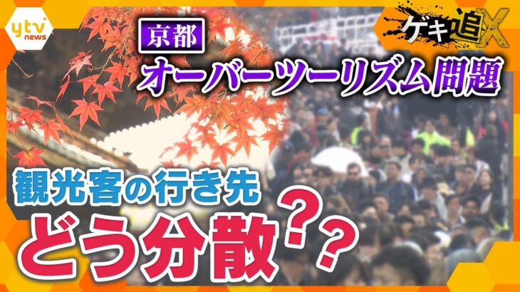 秋の京都・混雑対策のカギは“分散”　観光客の行先をどう分散するのか？その効果は？【かんさい情報ネット ten.特集/ゲキ追X】
