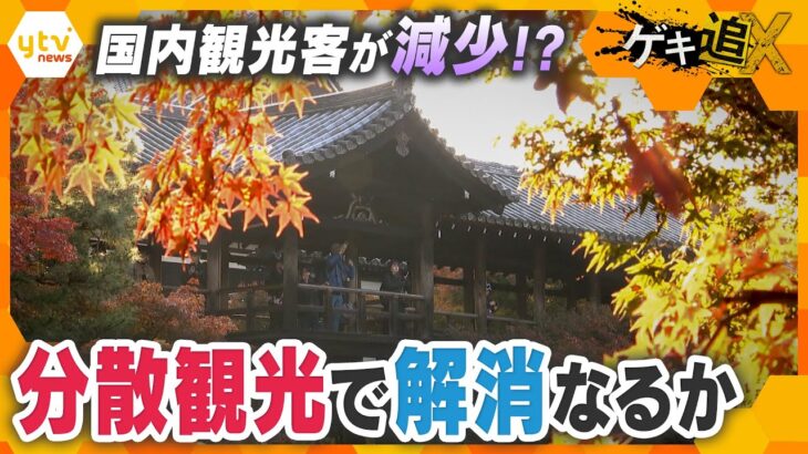 国内客による“京都離れ”が加速　各地で進む分散観光【かんさい情報ネット ten.特集/ゲキ追X】