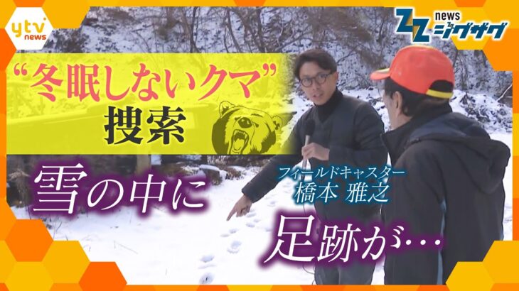 異常事態！“冬眠しないクマ”が人を襲う 長野県で12月に“ヒトの生活圏”で初の被害…一体何が？【ニュース ジグザグ】