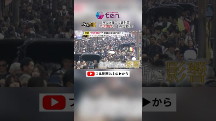 観光客の行先をどう分散するのか？秋の京都・混雑対策のカギは“分散”#京都 #京都観光#読売テレビニュース