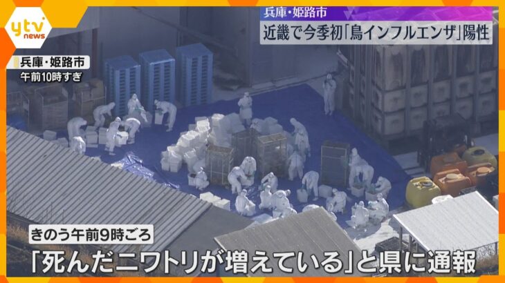 「死んだニワトリが増えている」近畿で今季初めて鳥インフル陽性確認　24万羽の殺処分　兵庫・姫路市