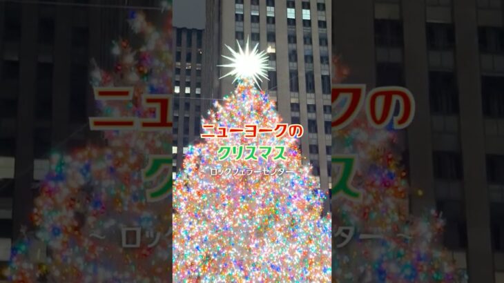 ニューヨークのクリスマスをお届け･･･🎄#クリスマス  #ニューヨーク #読売テレビニュース